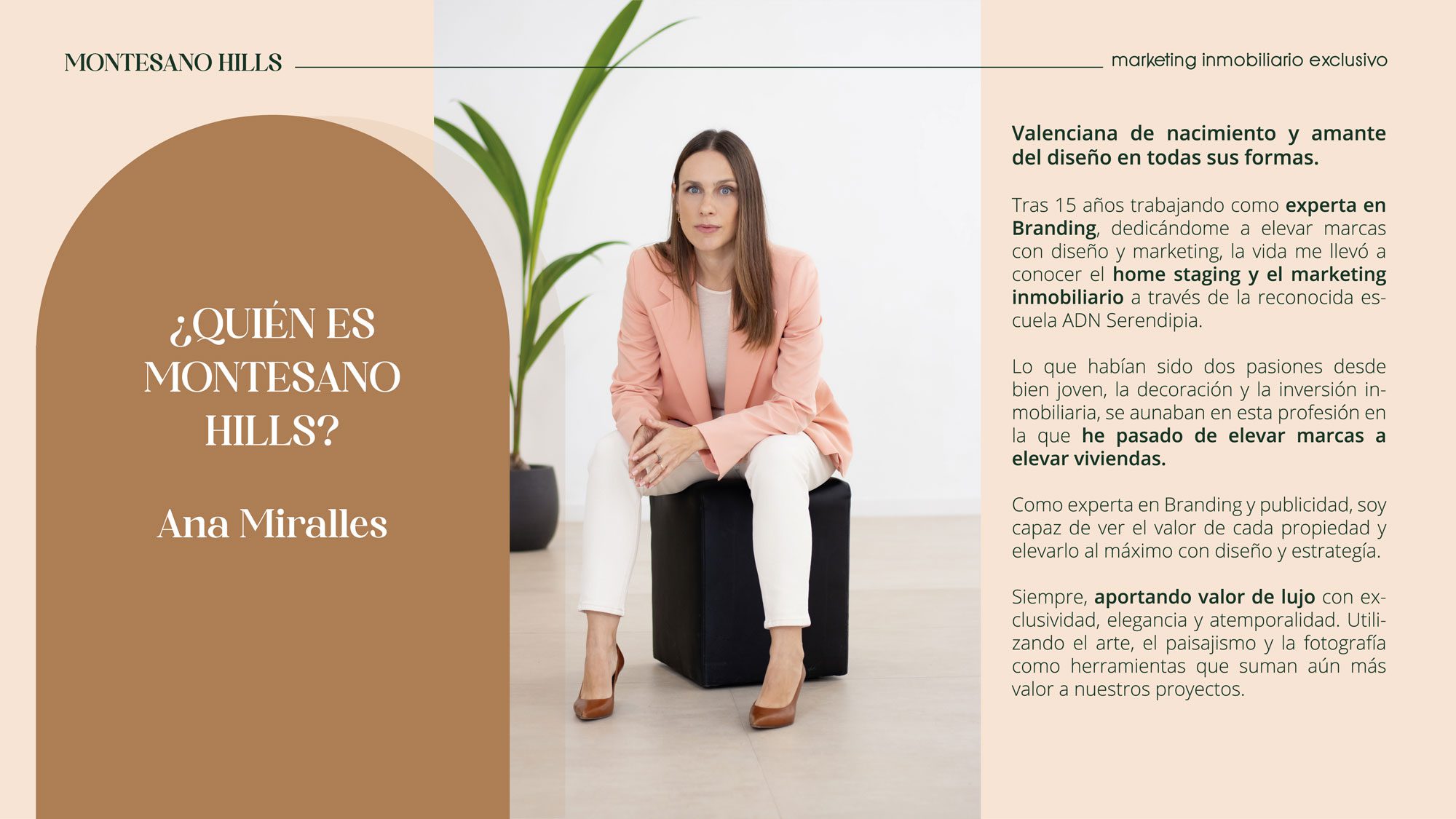 DOSIER-GESTION-INMOBILIARIA-MONTESANOHILSS-traz-web-08