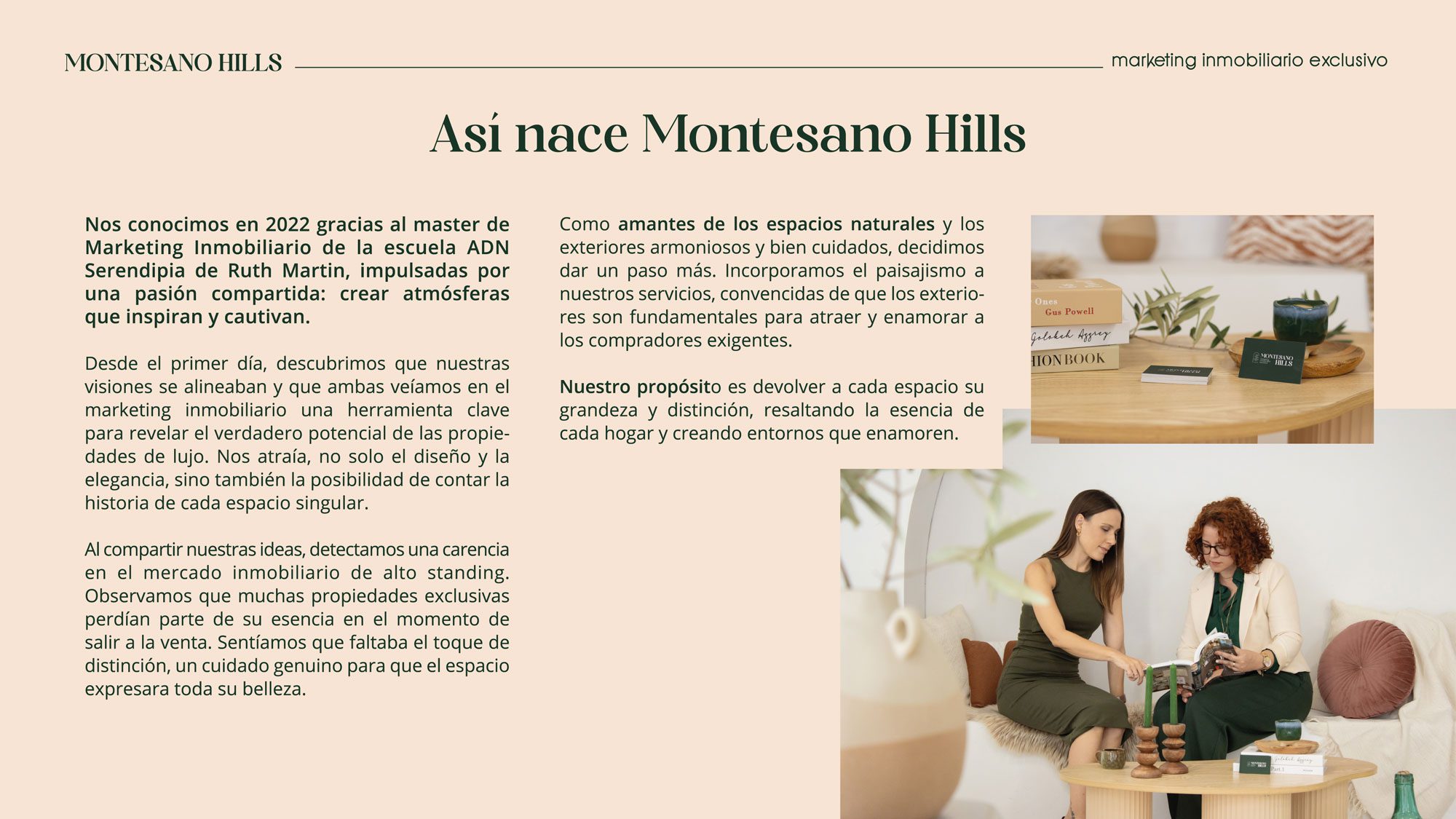 DOSIER-GESTION-INMOBILIARIA-MONTESANOHILSS-traz-web-10
